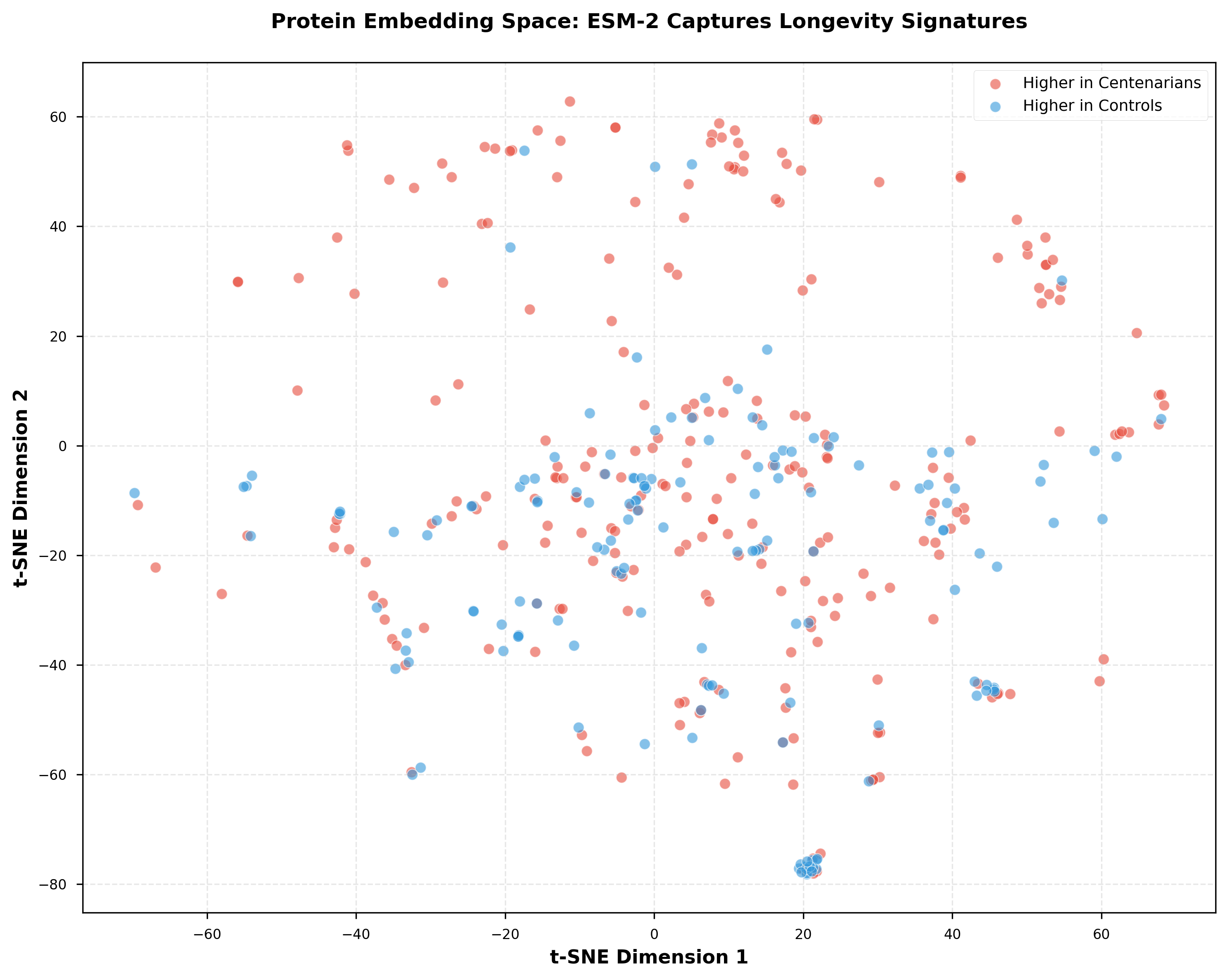 t-SNE visualization showing 4 distinct protein clusters