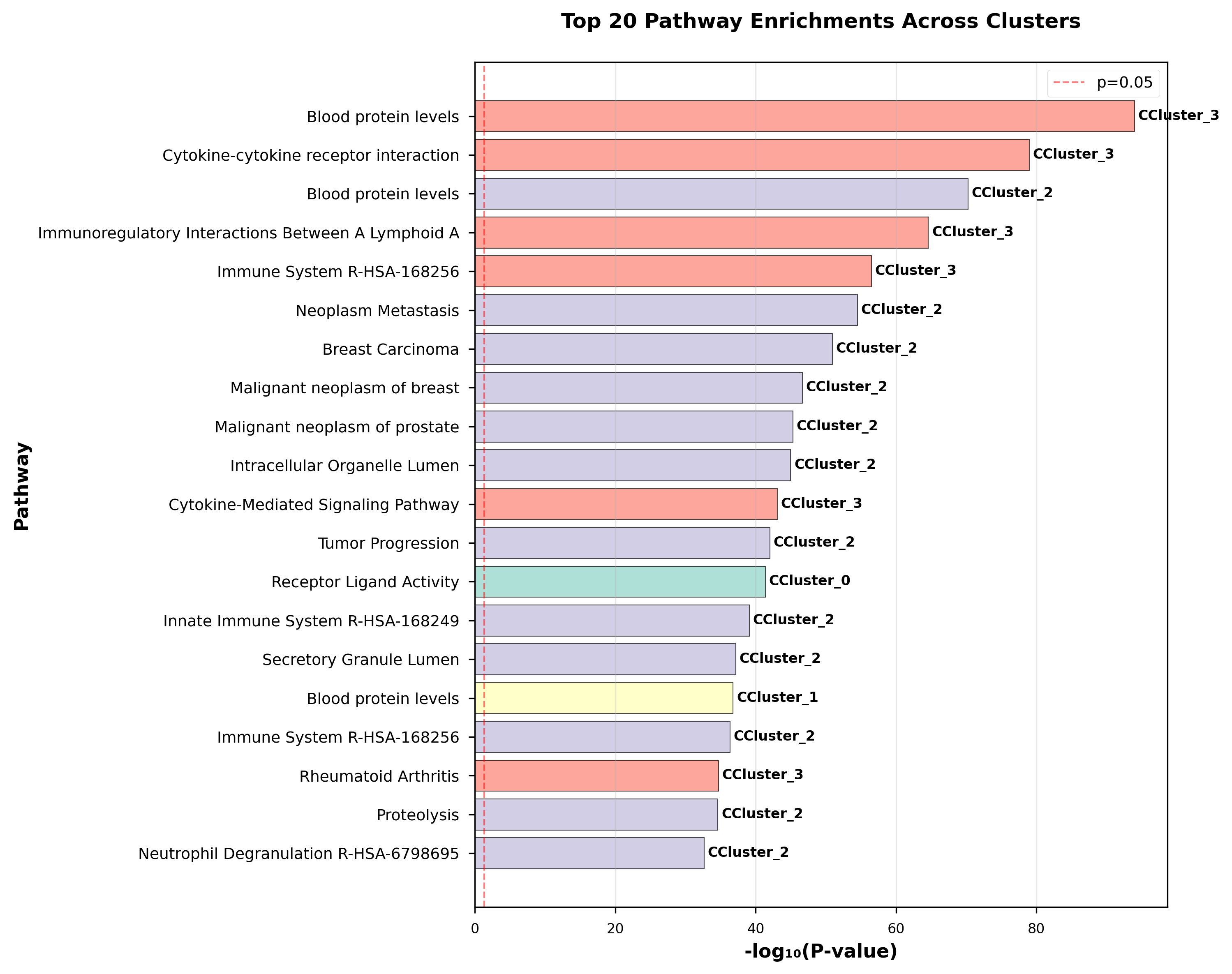 Top 20 Biological Pathways Significantly Enriched in ESM-2-Derived Protein Clusters